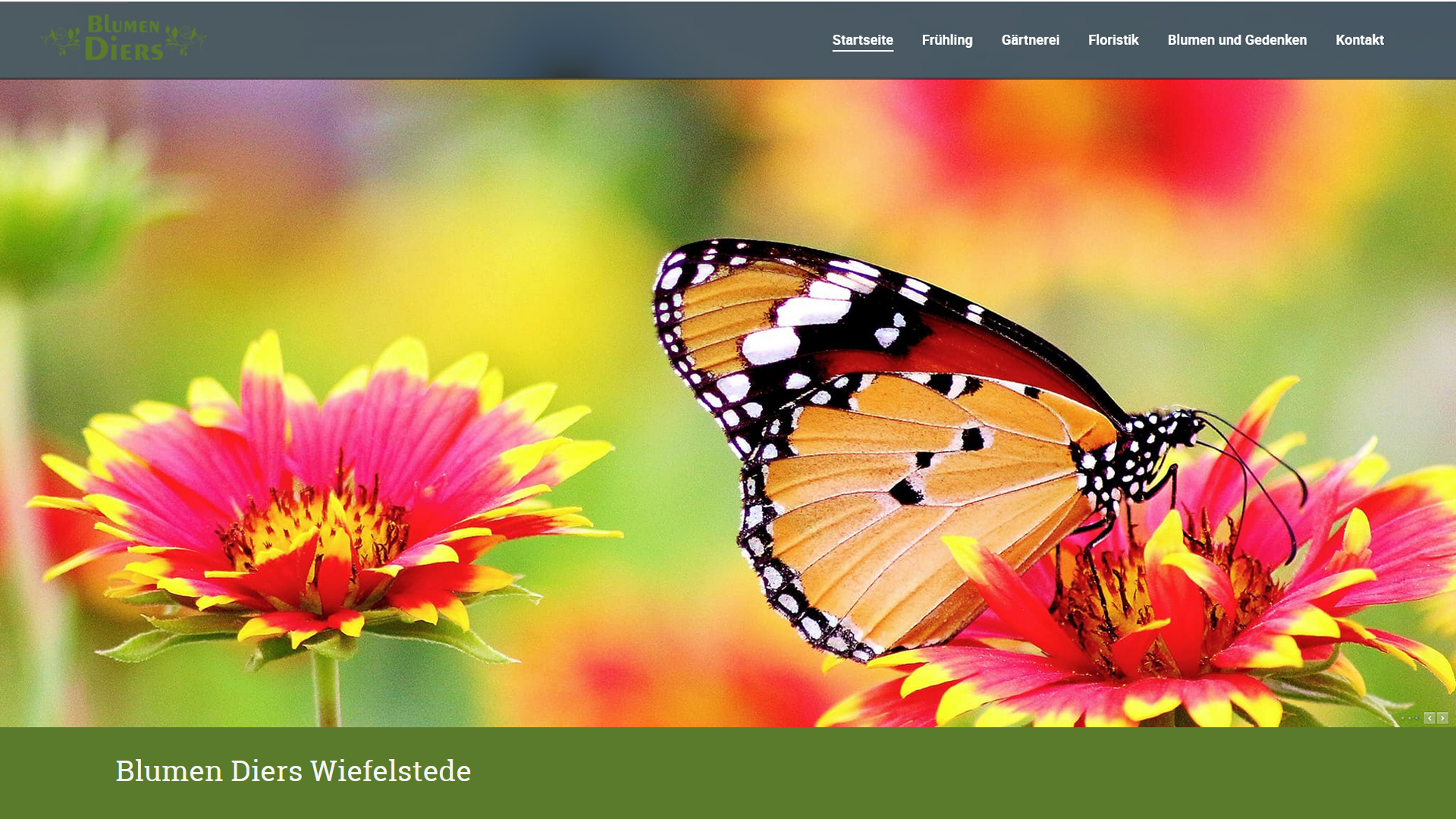 Blumen Diers
